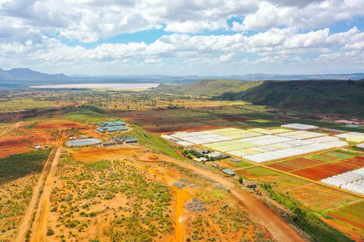 Property landscape at Great Rift Valley Retreat